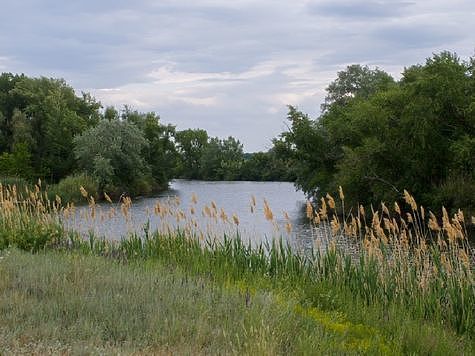 Росводресурсы будут чистить реки Жидкая Солянка и Еруслан