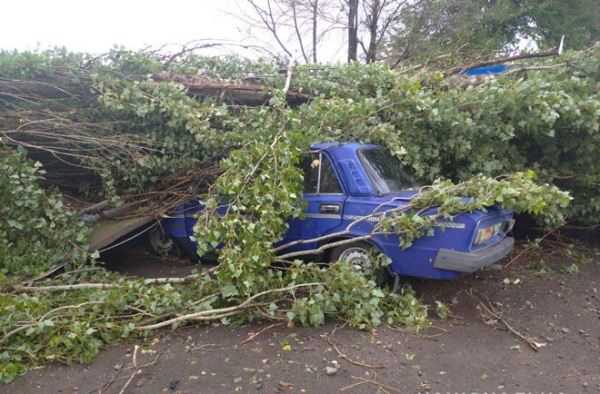 Ураган в Херсонской области повредил крыши домов и повалил деревья
