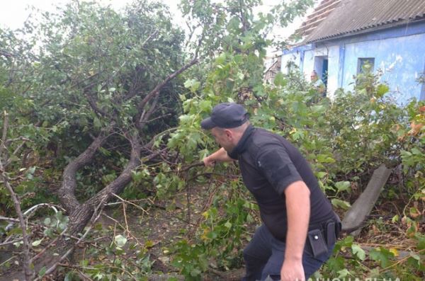 Ураган в Херсонской области повредил крыши домов и повалил деревья