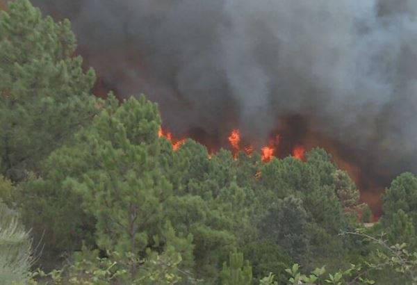 В центральной части Португалии разразился крупный лесной пожар
