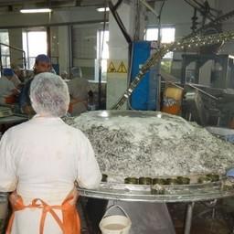 Севастополь стимулирует рыбопереработку рублем