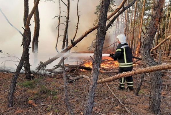 Пожары на Луганщине: погибли 11 человек, выгорело 20 тыс. га земли