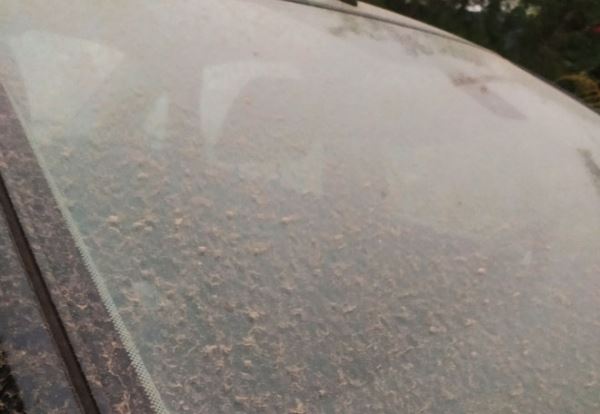 Донецкую область накрыла пыльная буря: загрязнение воздуха достигло «красного» уровня
