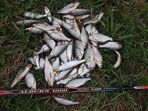 Рыболовные новости из Калуги