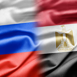 Египет и Россия налаживают торговлю рыбой