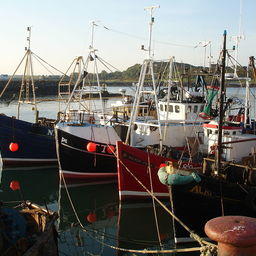 Британия и Норвегия активизируют рыбацкое сотрудничество