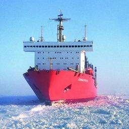Правительство обновило правила прохода по Северному морскому пути