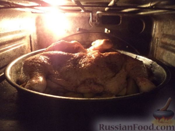 Пряная курица, запеченная с айвой