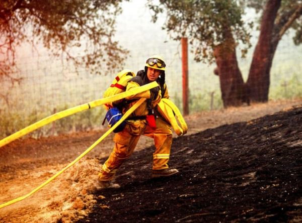 В результате лесных пожаров в Калифорнии выгорело 1,6 млн га земли